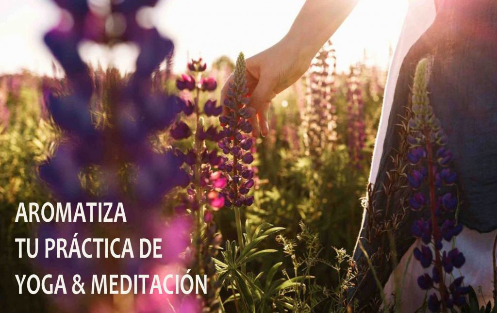 Aromatiza tu práctica de Yoga & Meditación